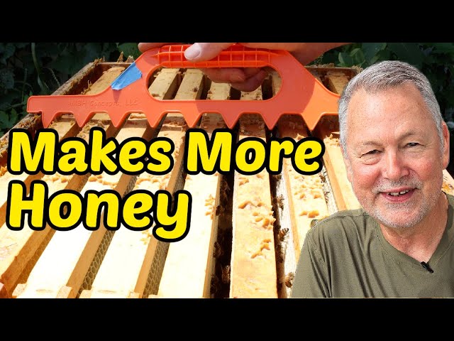 Beekeeping - Surprising Way to Make More Honey! Does It Work?
