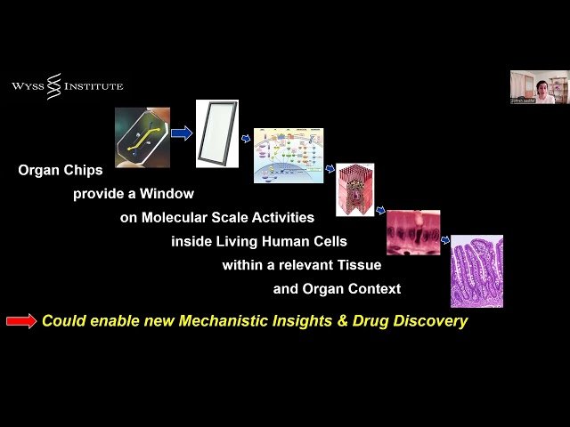 Human Organ Chips - Next-Generation In Vitro Models to Advance Human Health