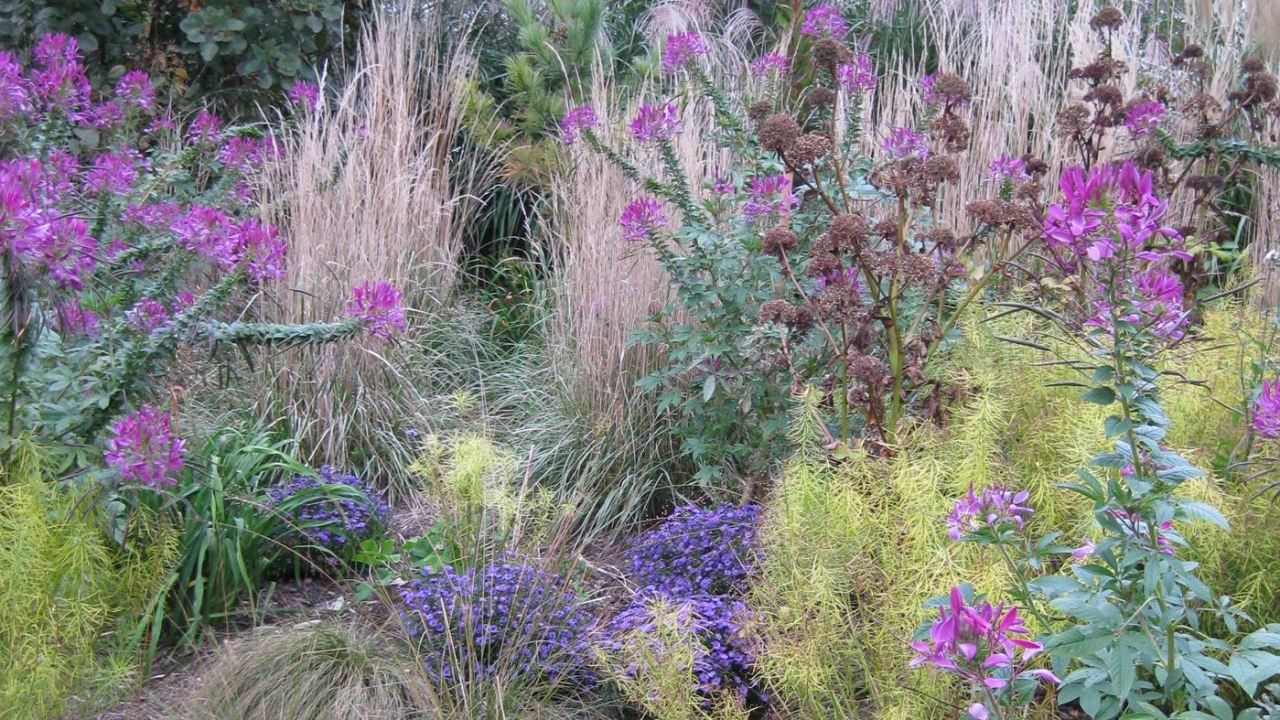 Maximizing Texture in the Garden (Live Online)