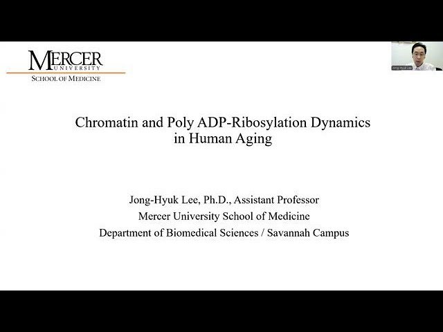 Chromatin and Poly ADP-Ribosylation Dynamics in Human Aging