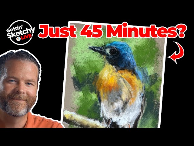 Drawing a Bird with Pastels in 45 Minutes - Live Tutorial