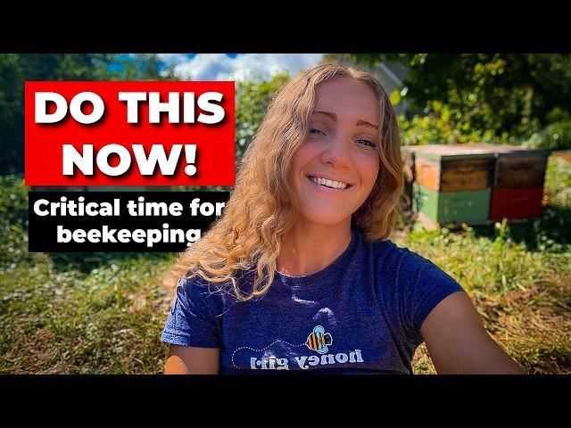 Varroa Treatments Ranked - What Actually Works in 2025