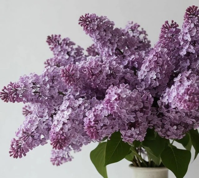 Three Flowers, Three Illusions, One Sunday: Lilac (Live Online)