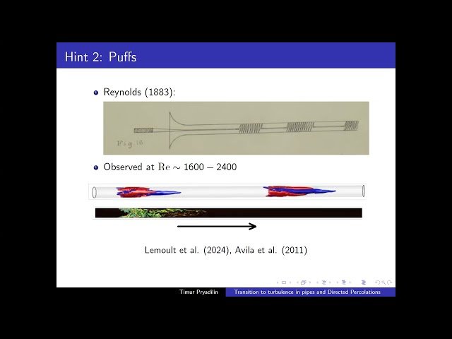 Transition to Turbulence in Pipes and Directed Percolations
