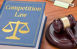 Understanding Competition law : theory and Practice