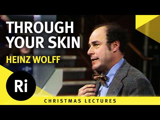 Looking Through Your Skin - Electromagnetic Radiation and Ultrasound Imaging - Lecture 5