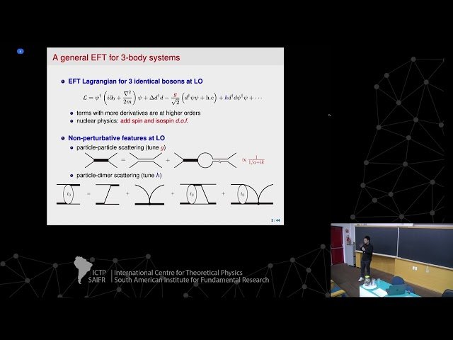 Halo Nuclei, Clustering and Universality - Class 3