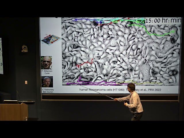 Extreme Mechanics of Tissues