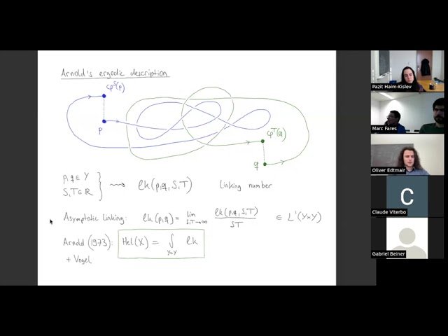 On the Topological Invariance of Helicity