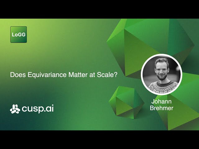Does Equivariance Matter at Scale? A Study of Neural Architectures and Symmetries