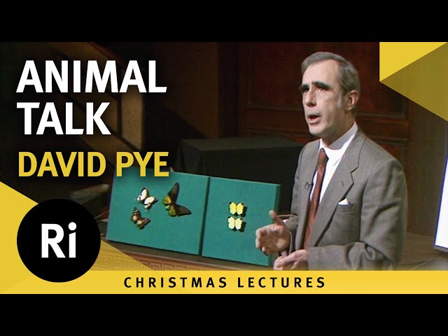 Animal Communication - David Pye's 1985 Christmas Lectures - Lecture 2