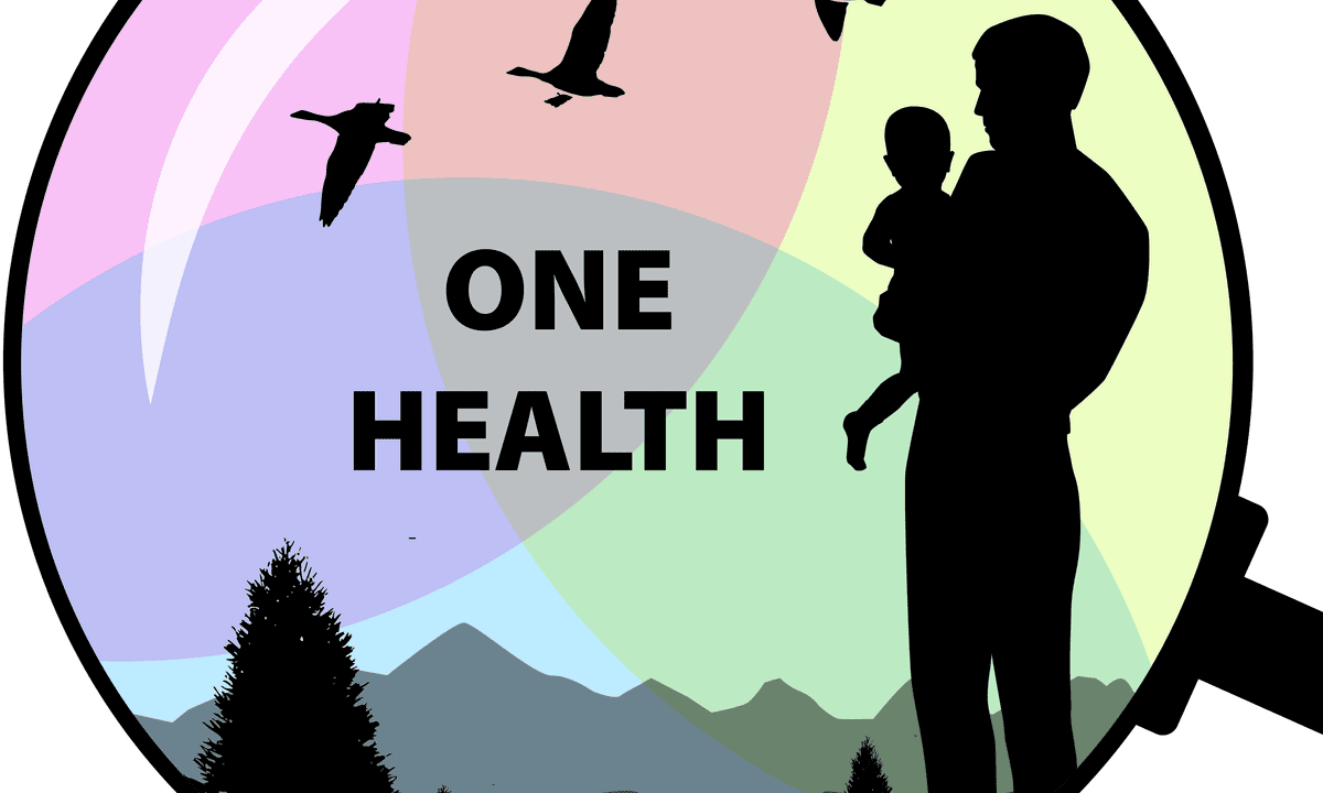 One Health Investigations of Outbreaks and Spillover Events