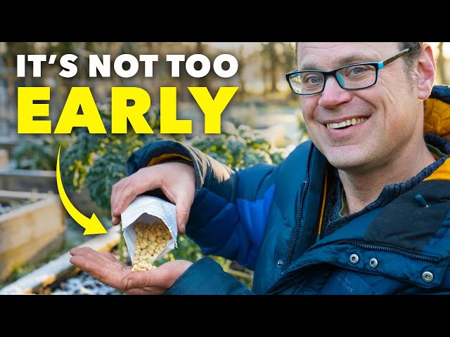 Smart Gardeners Sow These Seeds in February