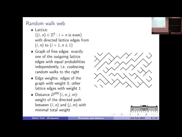 Brownian Web Distance and Bernoulli-Exponential First Passage Percolation