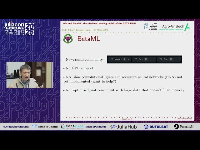 New Features of the Beta Machine Learning Toolkit (BetaML) - Missing Value Imputation, Autoencoders, and Variable Importance Metrics