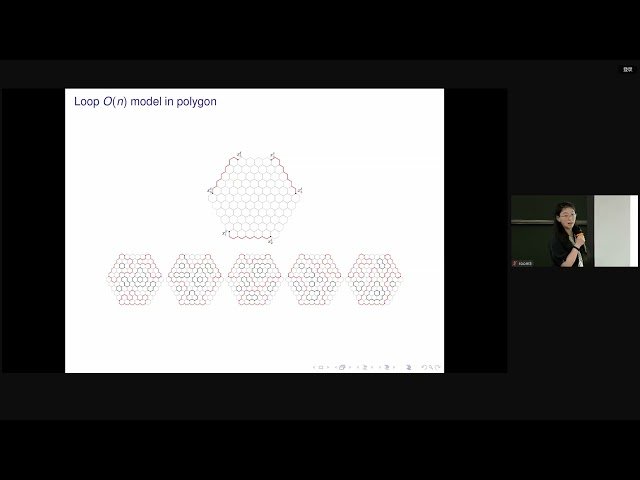 Free Video: Connection Probabilities for Loop O(n) Models and BPZ ...