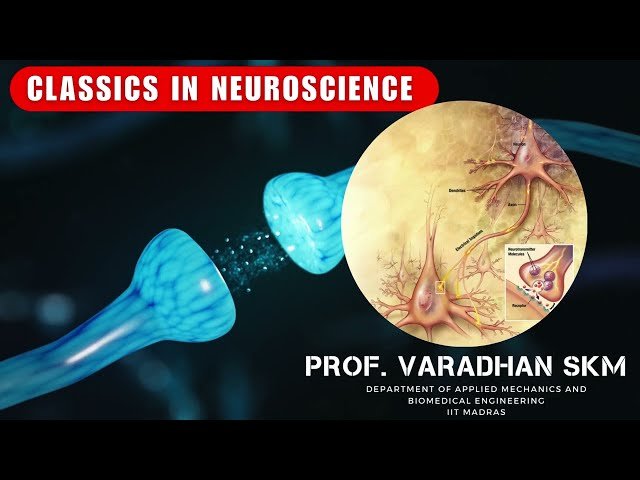 Hypothalamus and Feeding Behavior