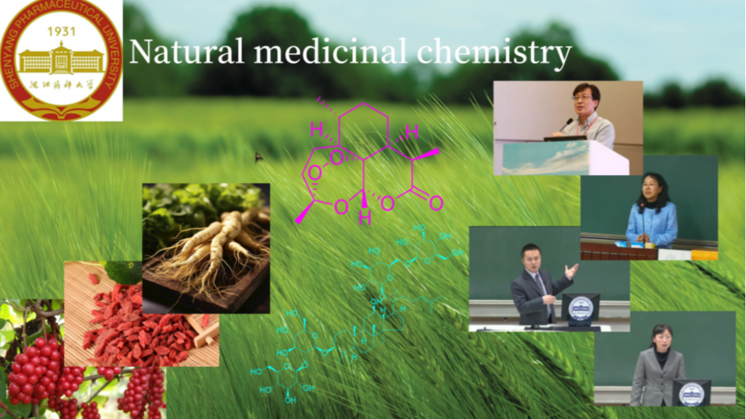 Natural Medicinal Chemistry