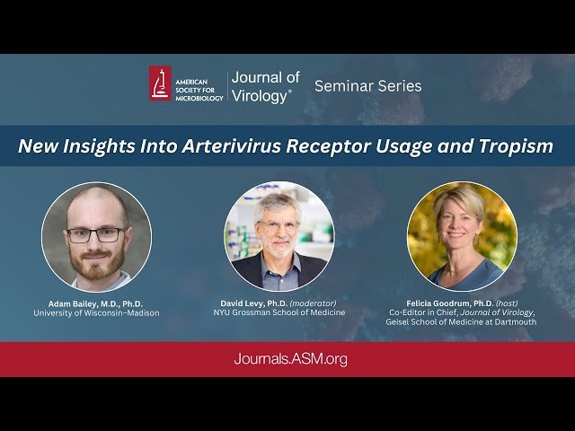 New Insights Into Arterivirus Receptor Usage and Tropism