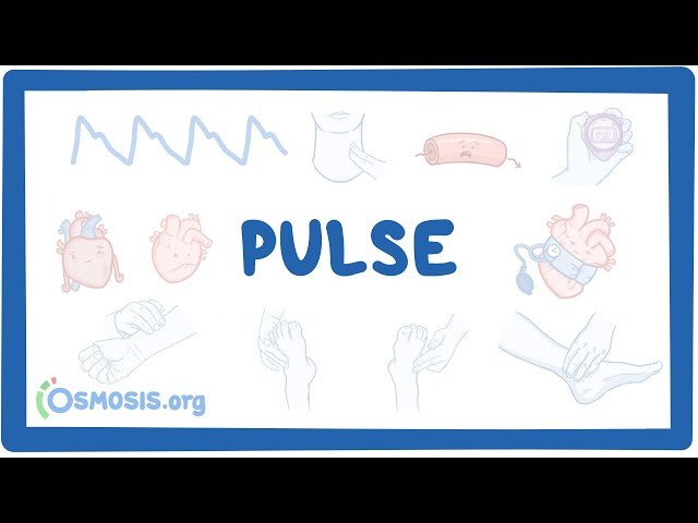 Vital Signs - Pulse: Clinical Nursing Care