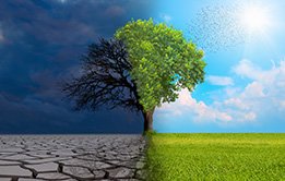 Fundamentals of Environment
