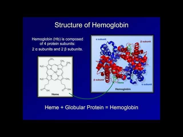 Dyshemoglobinemia: Methemoglobin and Carbon Monoxide Poisoning