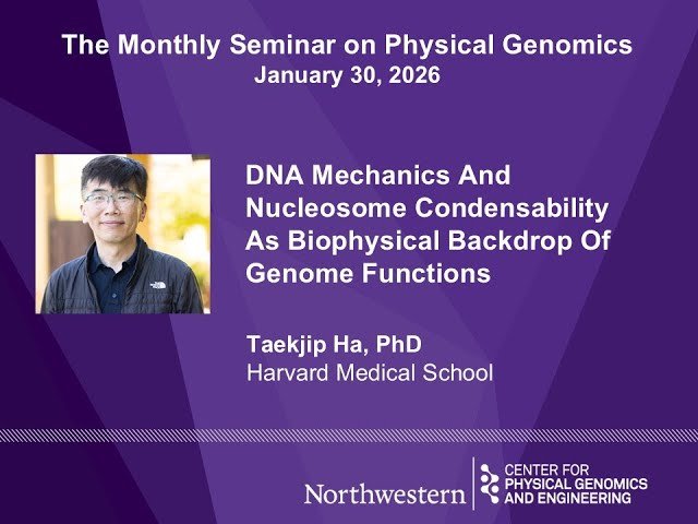 DNA Mechanics and Nucleosome Condensability as Biophysical Backdrop of Genome Functions