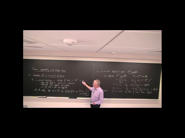 Tame Geometry and Hodge Theory