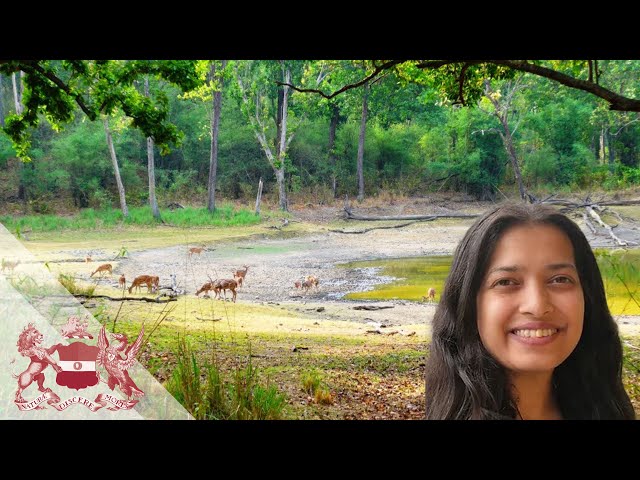 Connectivity-Based Conservation for Tiger Population Recovery in Central India