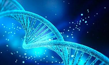 AP® Biology - Part 4: Ecology