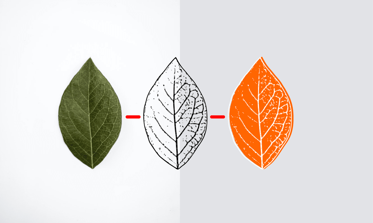 Make Any Image into a Vector Graphic with Inkscape