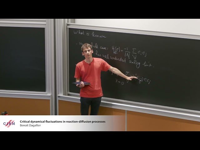 Critical Dynamical Fluctuations in Reaction-Diffusion Processes