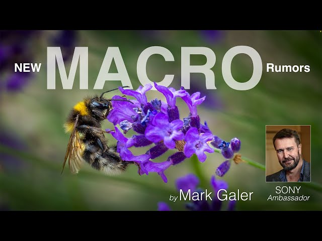 Sony Macro Lens Rumors and Close-Up Photography Options - July 2025