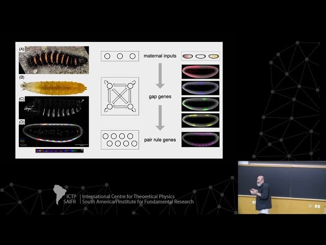 Scaling, Criticality, and the Statistical Physics of Biological Networks - Class 2