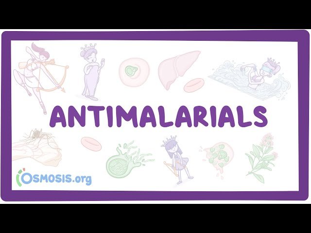 Antimalarials - Pharmacology