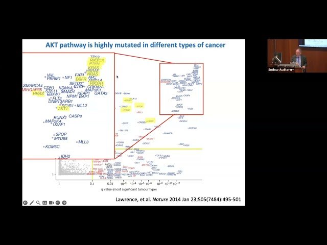 Improving Tools for Targeting AKT in Cancer