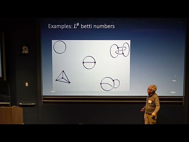 SO(3) Versus SU(3) in the Instanton Homology for Webs and Foams - March 27, 2025