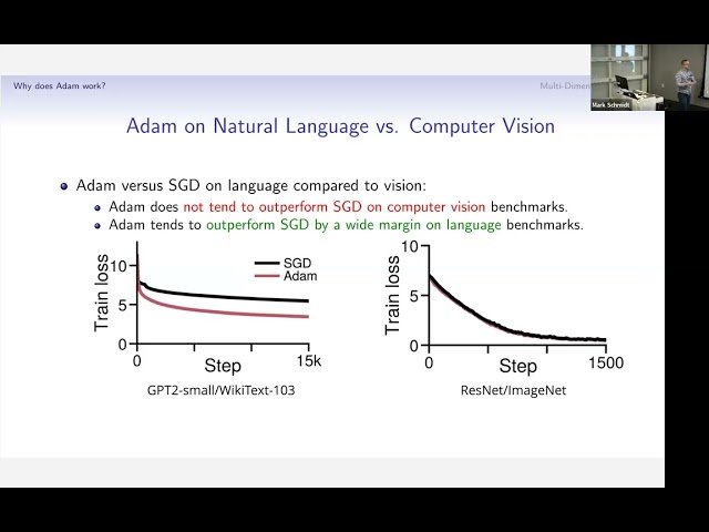 Why Does Adam Work So Well for LLMs? And Can We Find Optimal Per-Variable Step Sizes