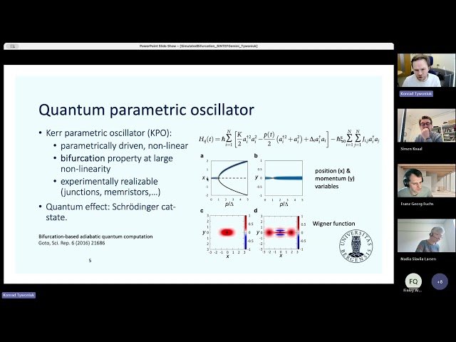 Community Detection by Simulated Bifurcation