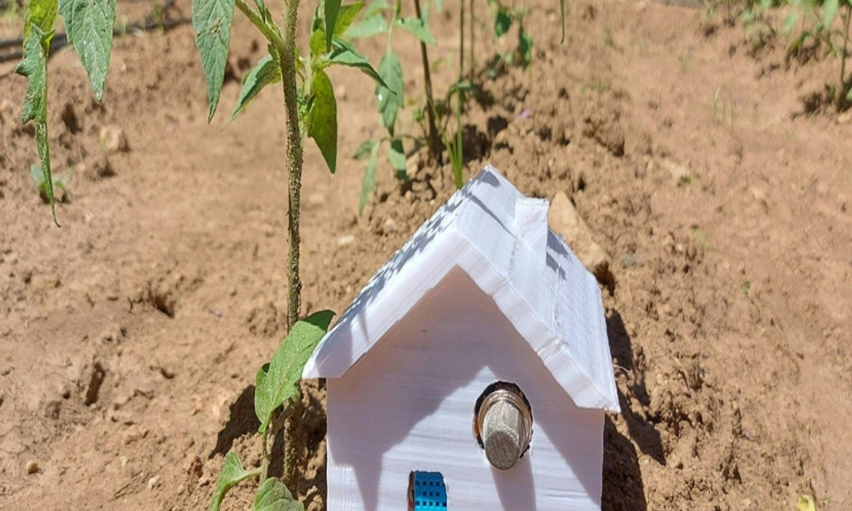 School gardens for future citizens