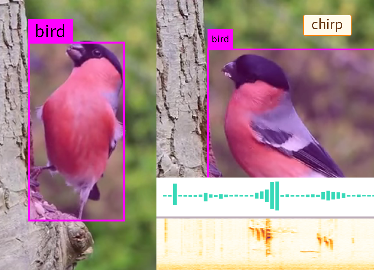 Video Creation, Editing and Analysis Using Wolfram Language: Wolfram U