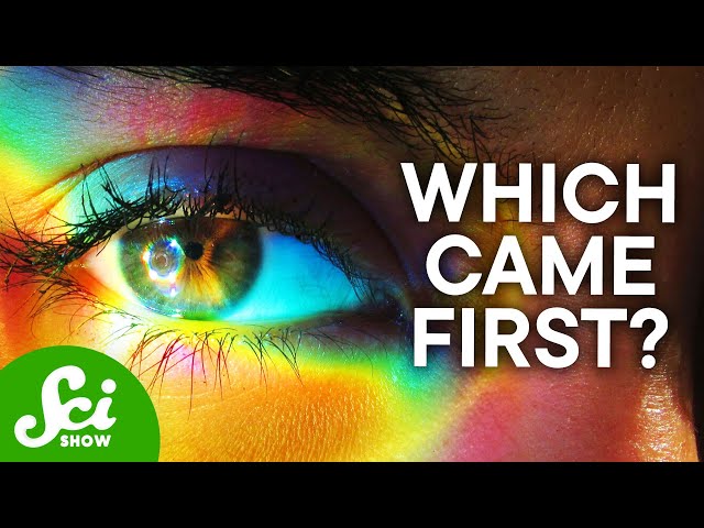 We Didn't Evolve Color Vision to See Color