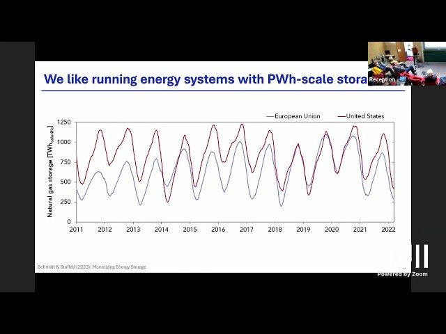 Challenges in Modelling the Future Role of Energy Storage