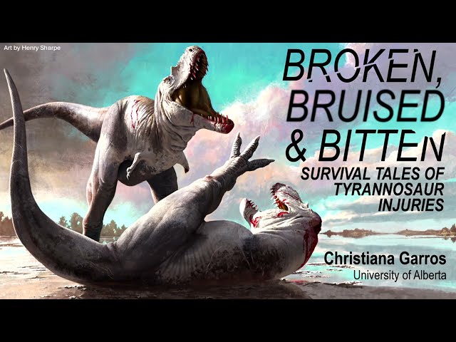 Broken, Bruised, and Bitten: Survival Tales of Tyrannosaur Injuries