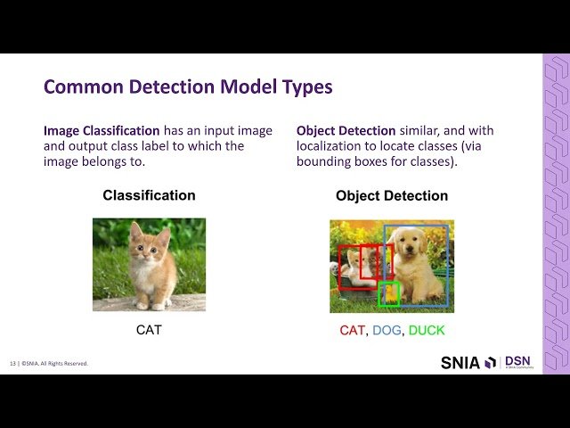 From Data to Decisions - Understanding How AI Models Learn