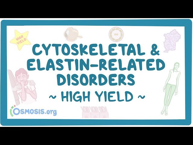 Cytoskeleton and Elastin Disorders - Pathology Review