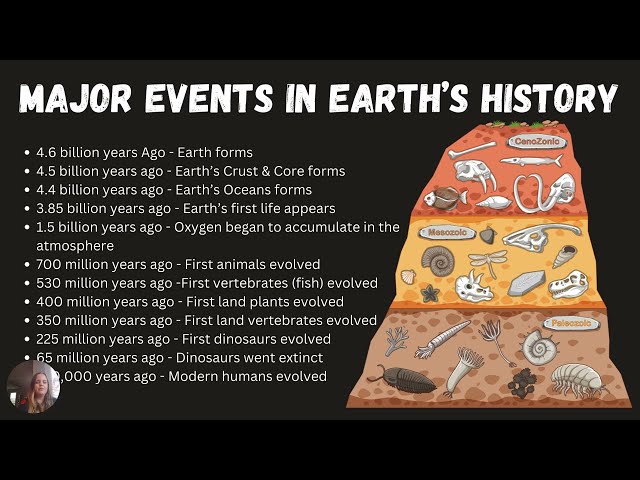 Brief History of the Earth