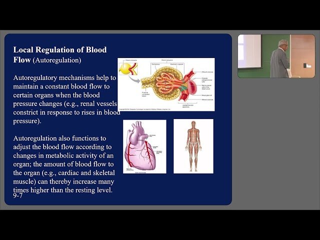 Hemodynamics and Regulation - Part 3