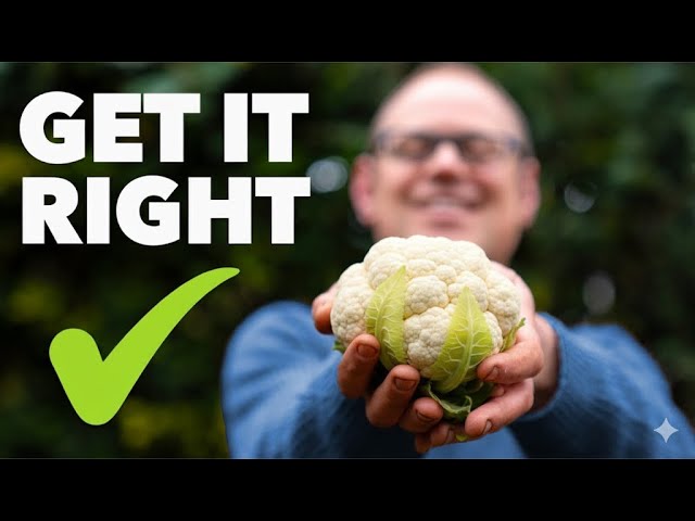 The Easiest Way to Grow Cauliflowers - Even if You've Failed
