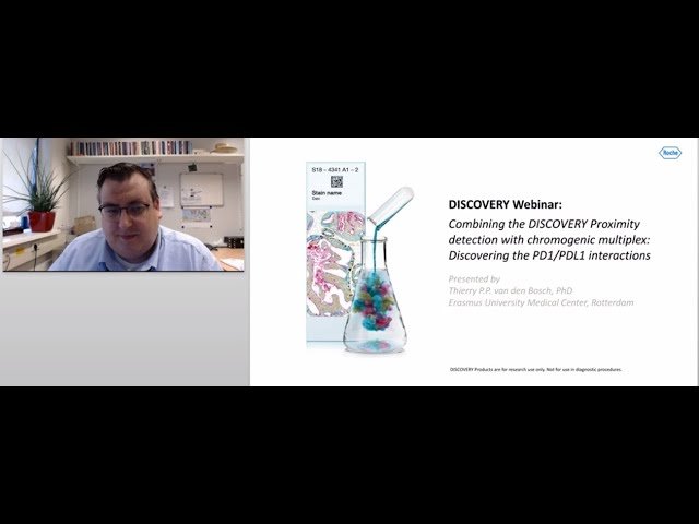 Combining Protein Proximity Detection with Chromogenic Multiplex Discovery
